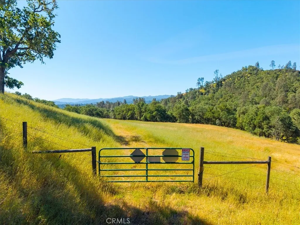 The Start of the Property past the gate.
