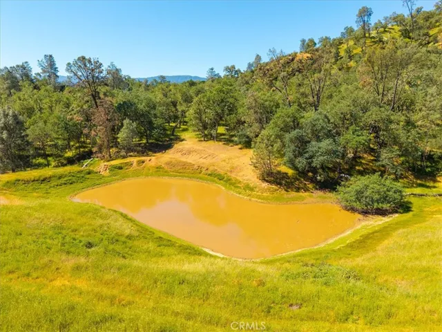 pond