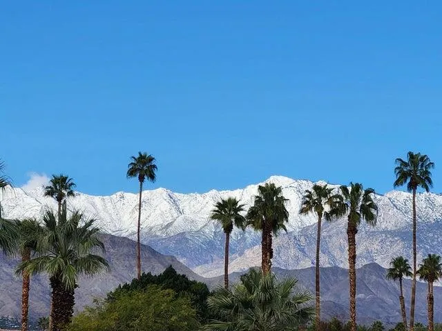 Mountain Views