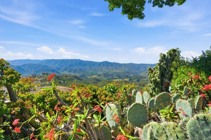 2384 Glenn Rd, Fallbrook, California 92028