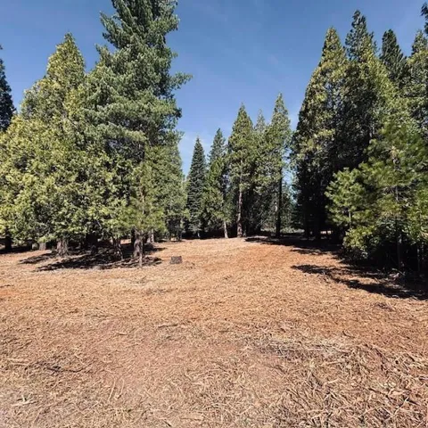 790 Red River Drive, Lake Almanor, California 96137
