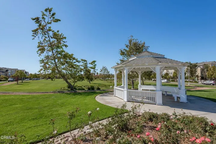 36-Walk to Central Park