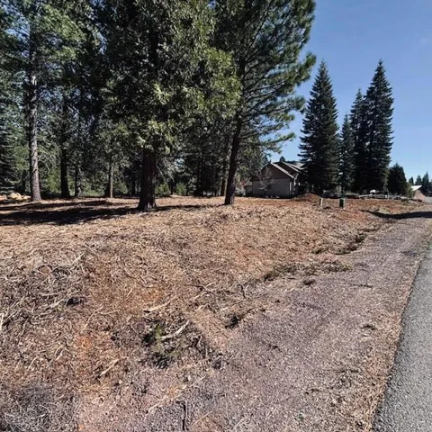 742 Red River Drive, Lake Almanor, California 96137