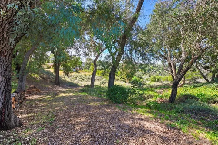 1282 Olive Ave, Fallbrook, California 92028