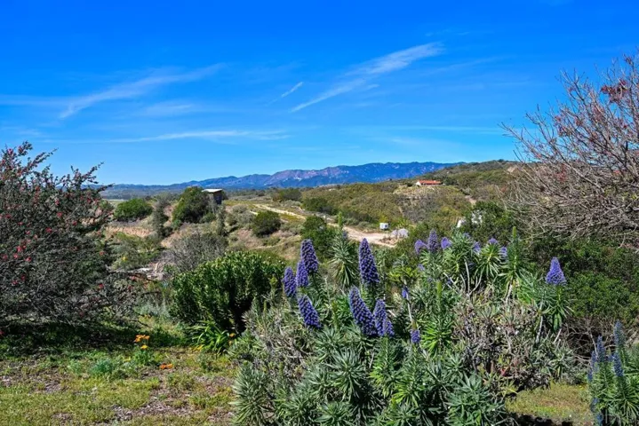 1282 Olive Ave, Fallbrook, California 92028