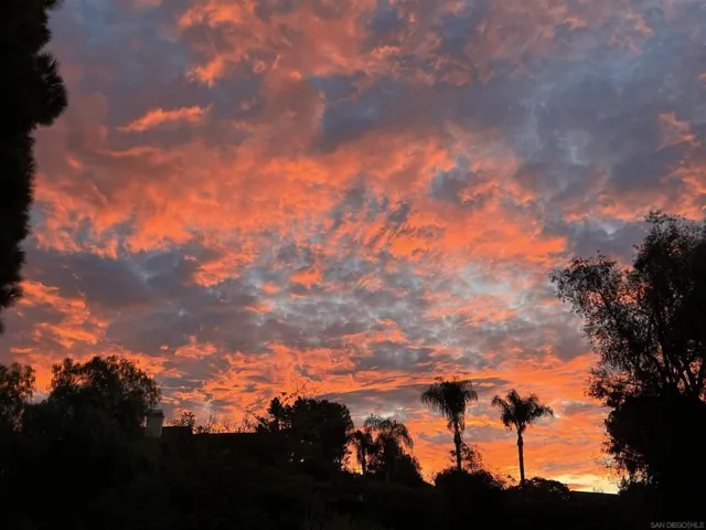 1282 Olive Ave, Fallbrook, California 92028
