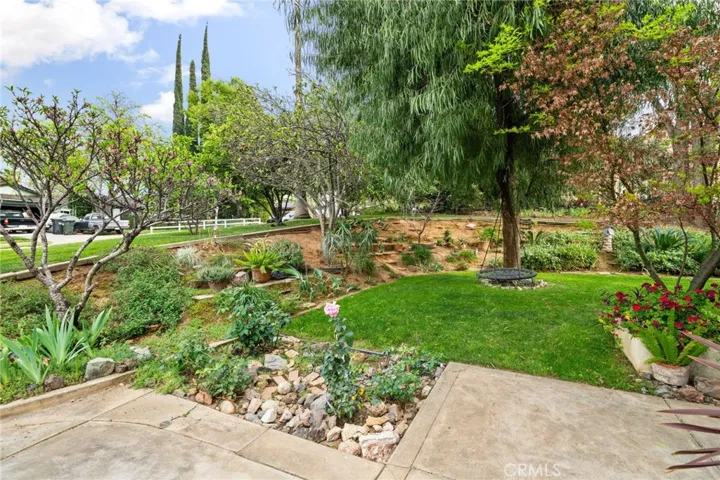 Beautiful front yard