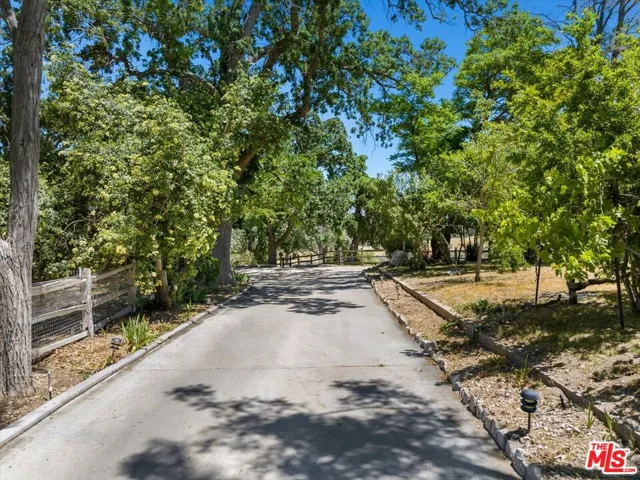 Driveway to main home and gues