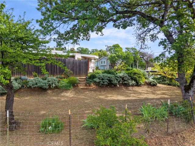 Side yard