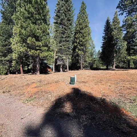 758 Red River Drive, Lake Almanor, California 96137