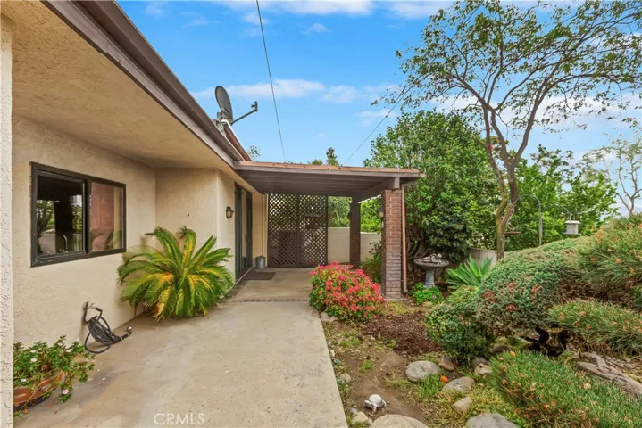 Patio and scenic vegetation