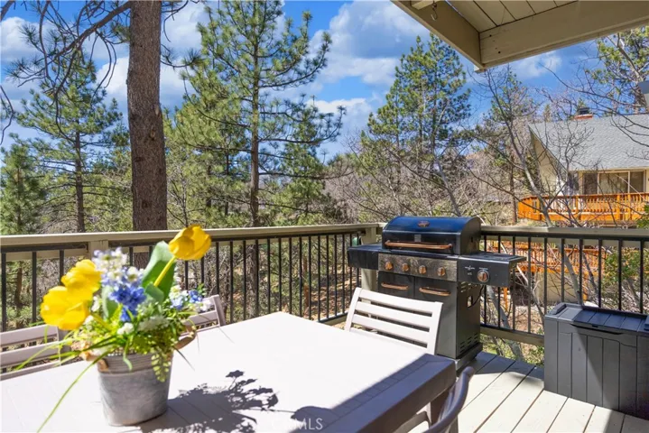 39563 Raccoon Drive, Fawnskin, California 92333
