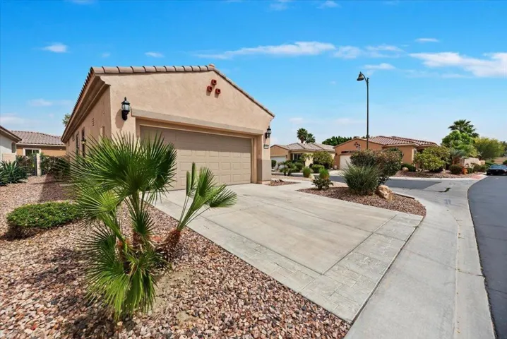 Low Maintenance  Landscape