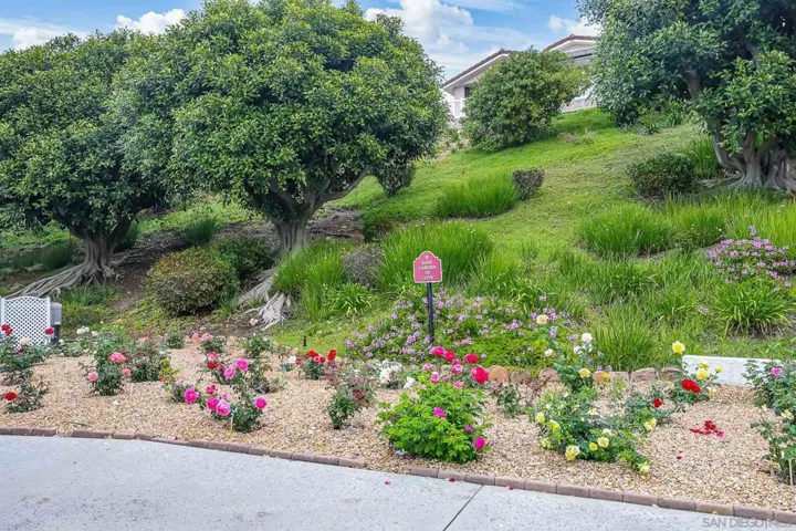 , San Marcos, California 92078