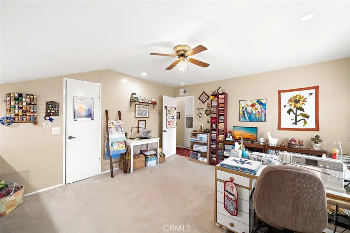 Ceiling fan and natural light
