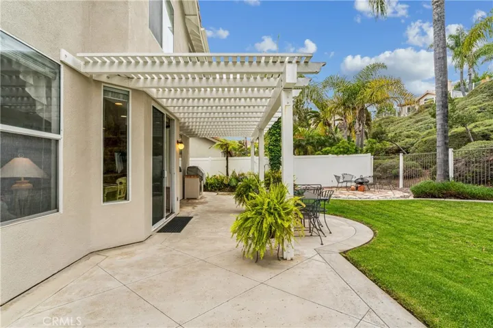 Back yard