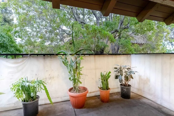247 N Capitol Ave 271, San Jose, California 95127