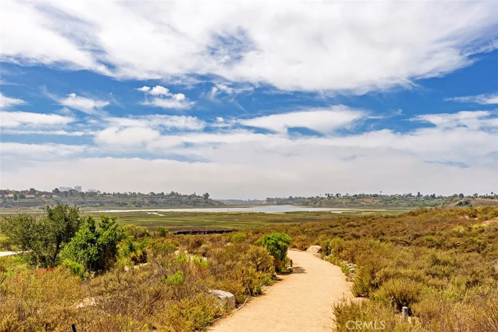 Upper Back Bay trails for waking, jogging, and cycling
