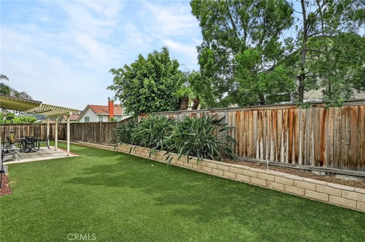 Backyard turf