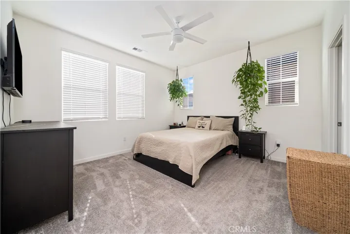 Large Master bedroom