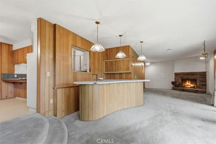 Bar and Family room