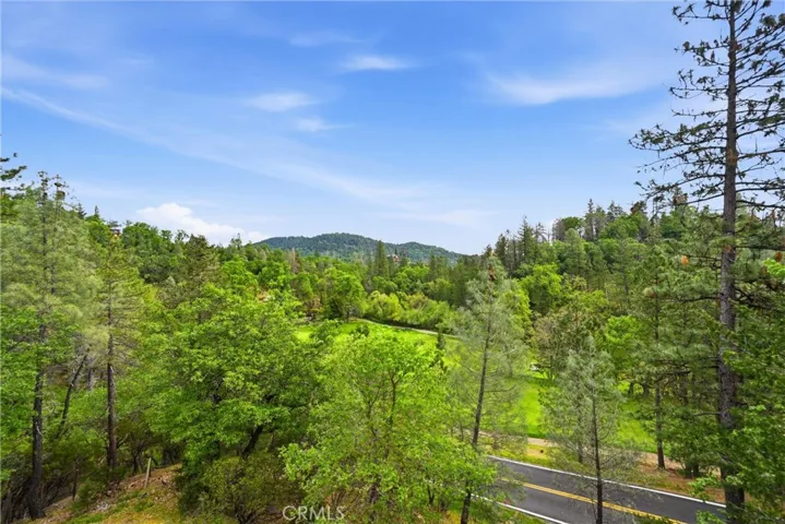 14000 Nelson Lane, Cobb, California 95426