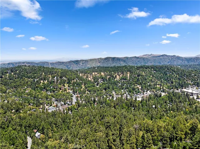 Drone photo above home