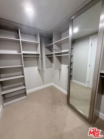 Primary Closet