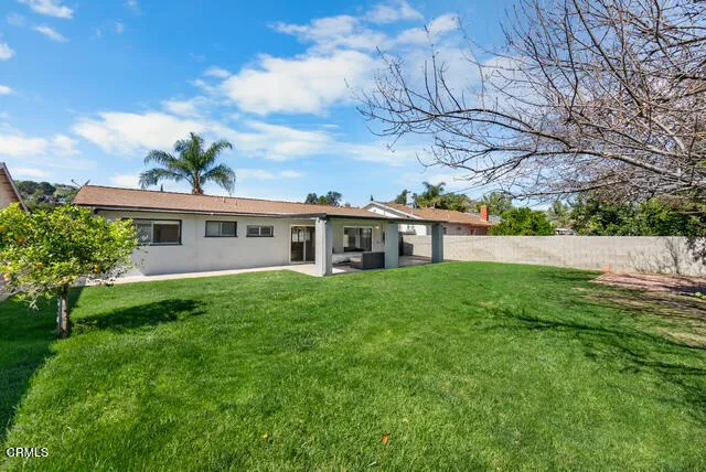 LARGE LOT BACKYARD