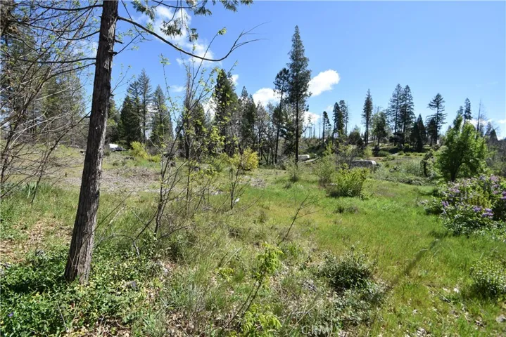 6 Sugar Pine, Berry Creek, California 95916 — photo 4