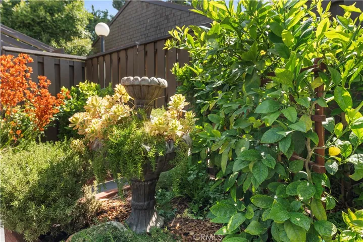 Back Patio Area