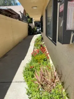1040 Cedar, Long Beach, California 90813