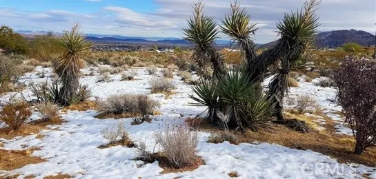 0 Desert Queen Avenue, 29 Palms, California 92277