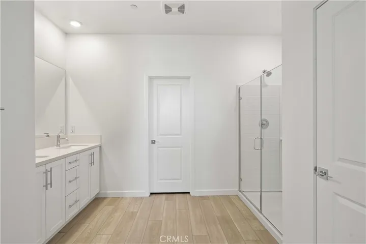 Primary Suite En-suite Bathroom w/walk-in shower