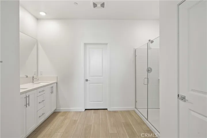 Primary Suite En-suite Bathroom w/walk-in shower