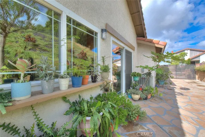 Side yard, sliding door to the family room