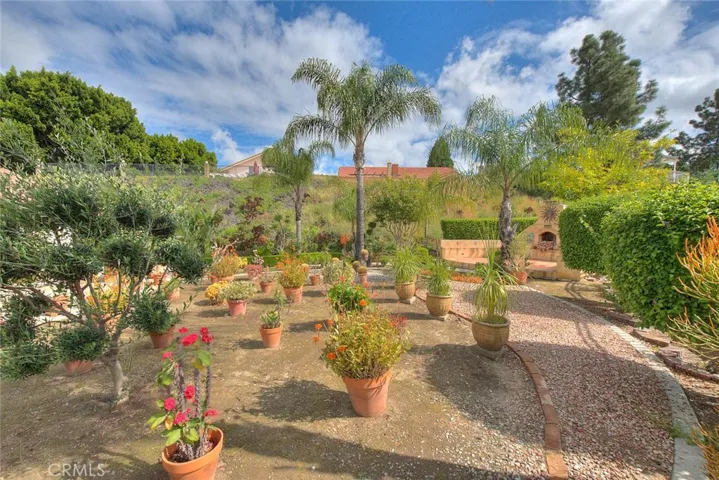 A private oasis!