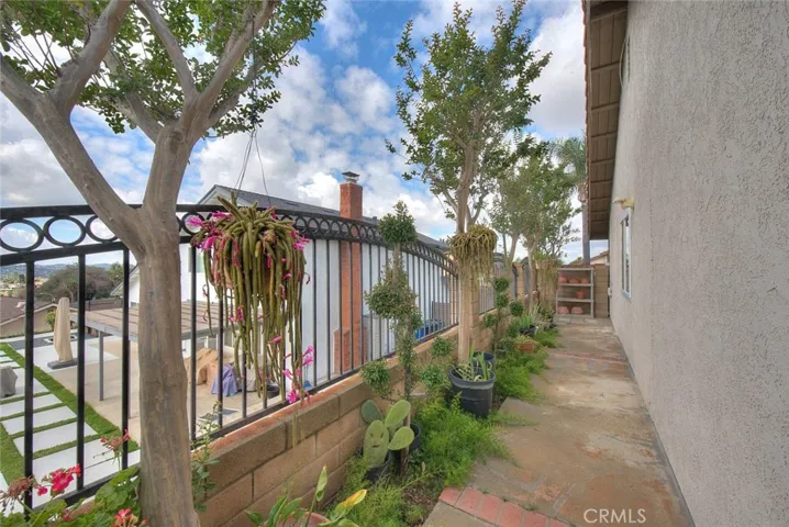 Side yard