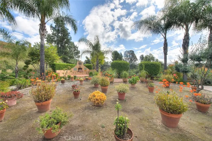 16302 sf lot!