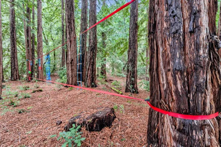 12845 Love Creek Road, Ben Lomond, California 95005