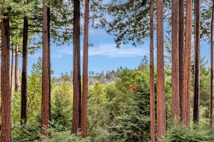 12845 Love Creek Road, Ben Lomond, California 95005