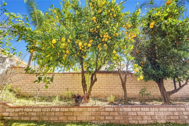Make freshly squeezed orange juice for breakfast & lemonade juice for dinner!