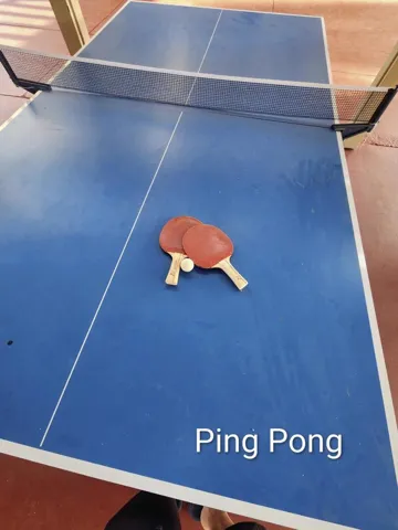 Pin Pong