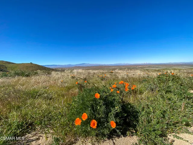 44132 Munz Ranch Rd-18