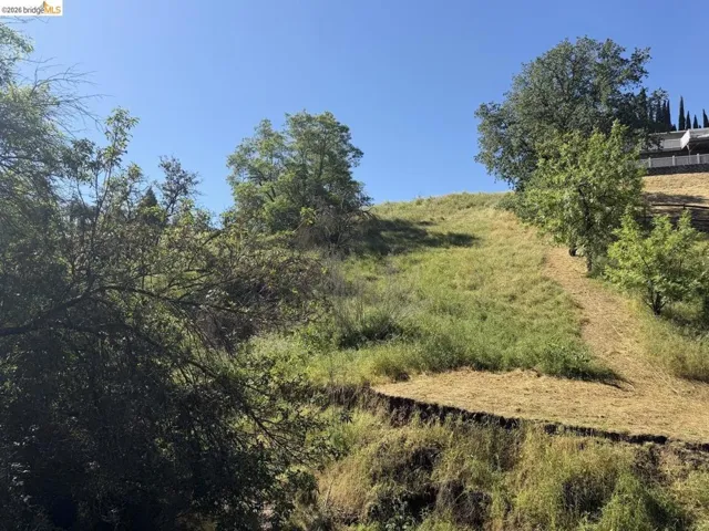 view of nature