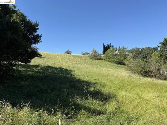 view of local wilderness with rural landscape