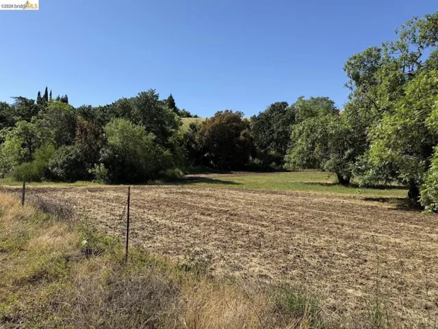 view of undeveloped land with rural landscape