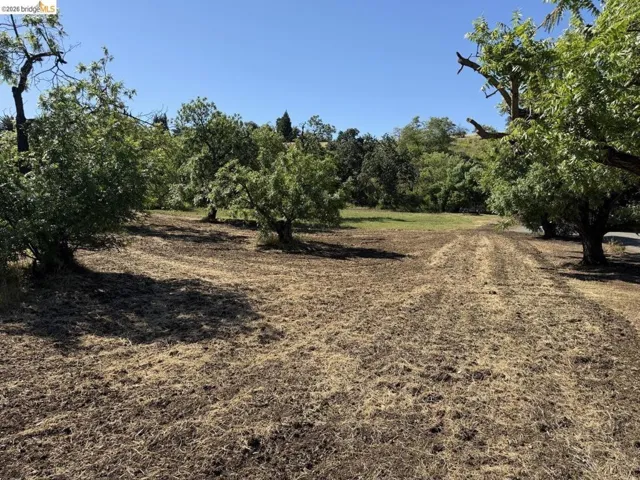 view of local wilderness featuring rural landscape