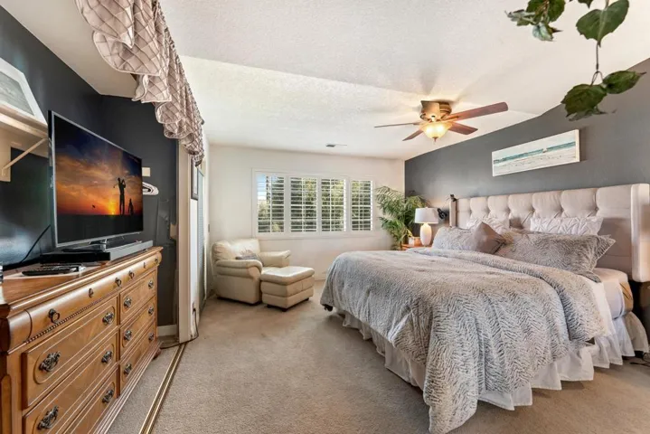 188torreypine-22
