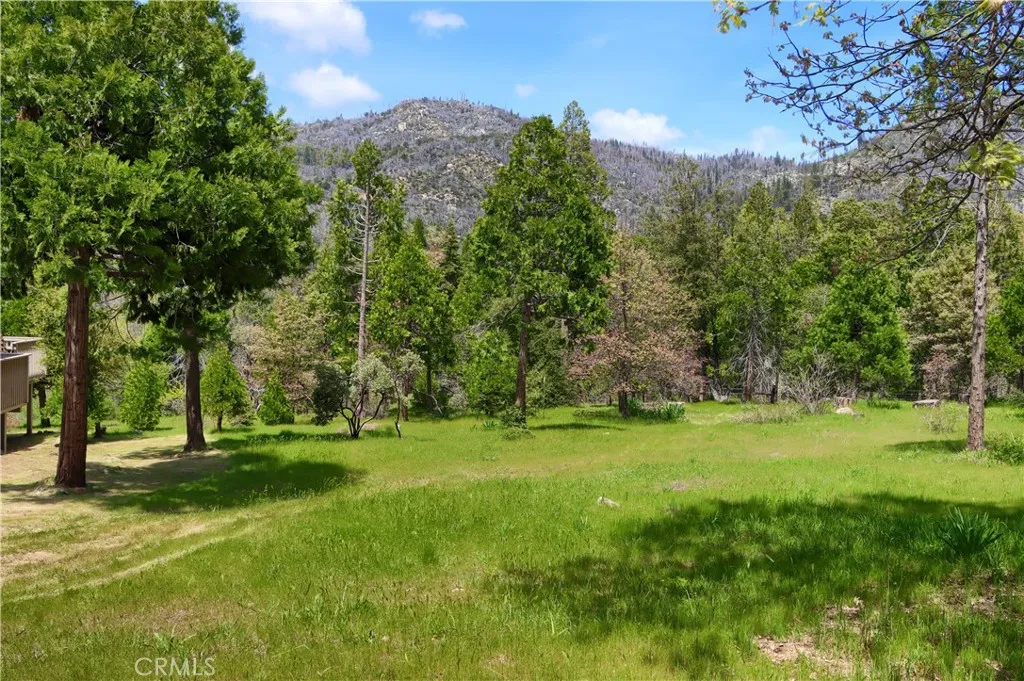 Useable adjacent lot